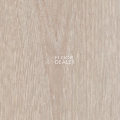 Кварцвиниловые полы Forbo Allura Ease 63406EA7 bleached timber фото 1 | FLOORDEALER